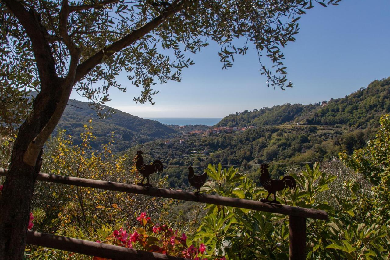 Pietrantica - Affittacamere Con Giardino Nuova Apertura A Trebiano -Citr Extérieur photo