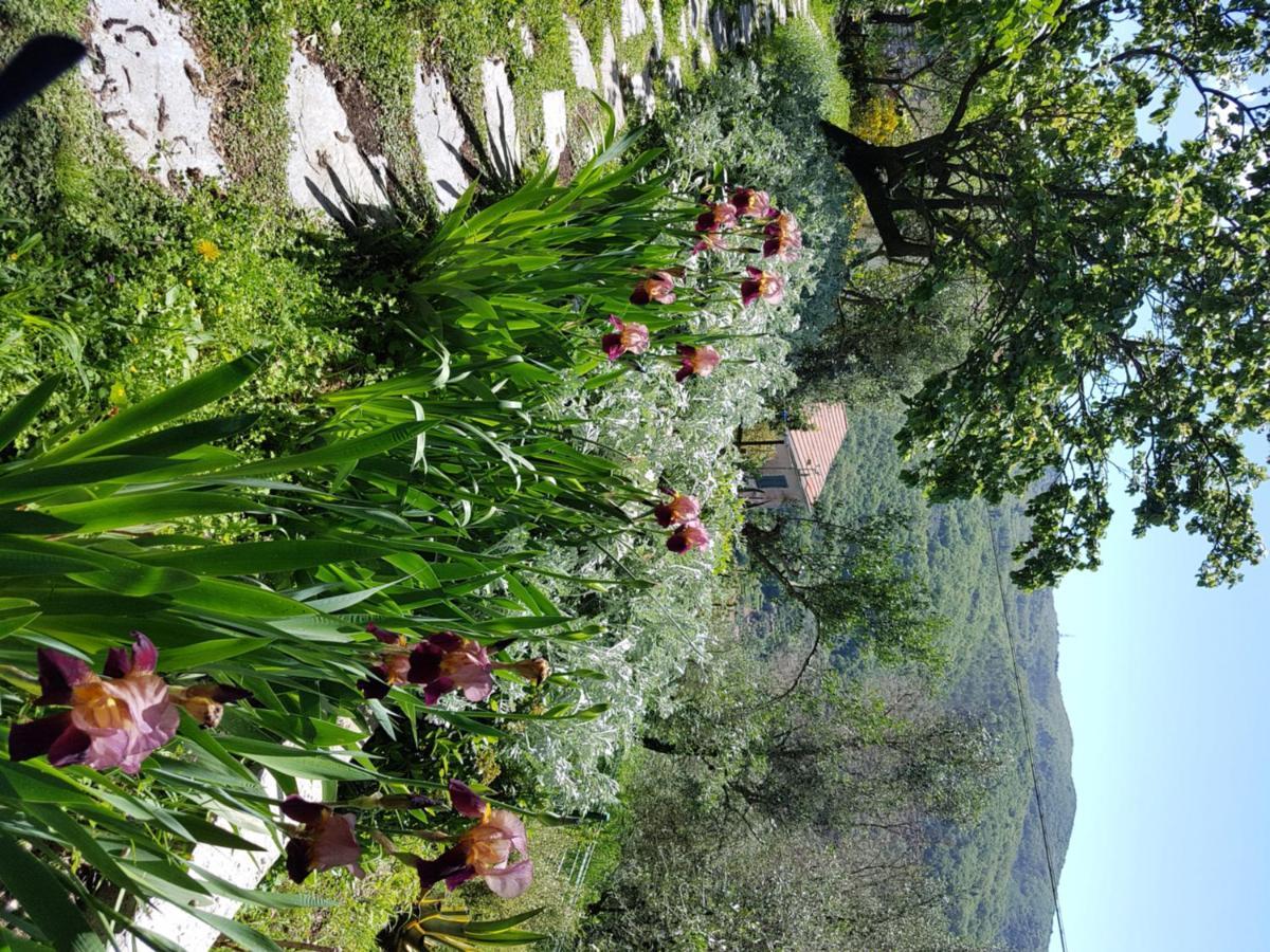 Pietrantica - Affittacamere Con Giardino Nuova Apertura A Trebiano -Citr Extérieur photo