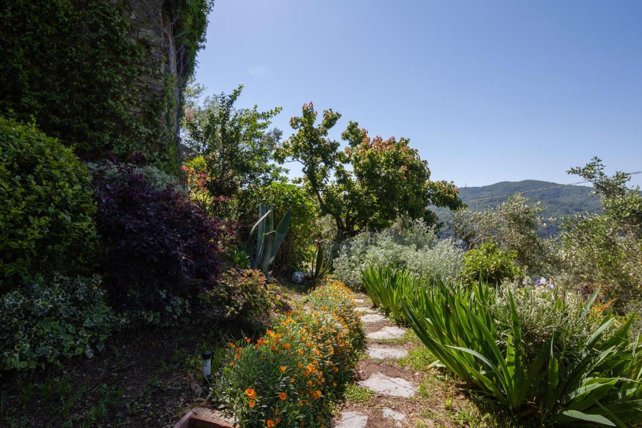 Pietrantica - Affittacamere Con Giardino Nuova Apertura A Trebiano -Citr Extérieur photo