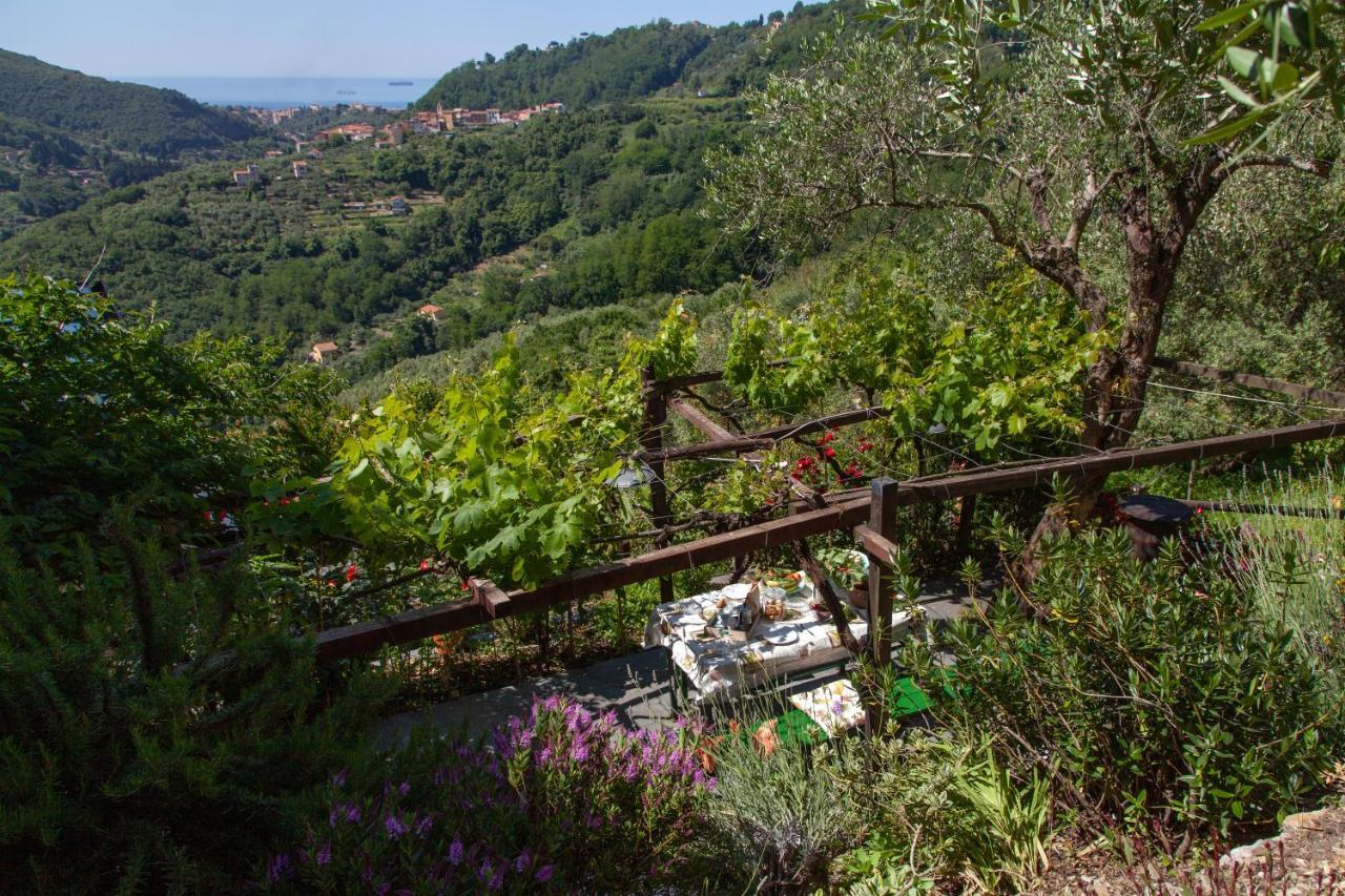 Pietrantica - Affittacamere Con Giardino Nuova Apertura A Trebiano -Citr Extérieur photo